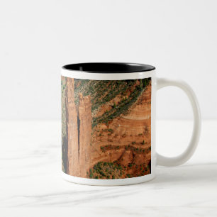 Taza Bicolor Norteamérica, EE. UU., Arizona, Navajo indio 7