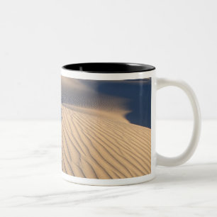 Taza Bicolor Norteamérica, EE. UU., California, Valle de la Mue
