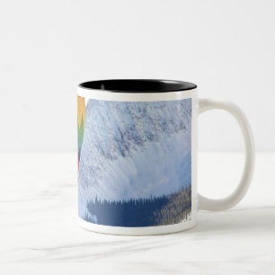 Taza Bicolor Norteamérica, EE. UU., Colorado, Mt. Crested Butte