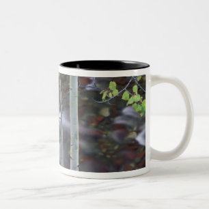 Taza Bicolor Norteamérica, EE. UU., Colorado, San Juan