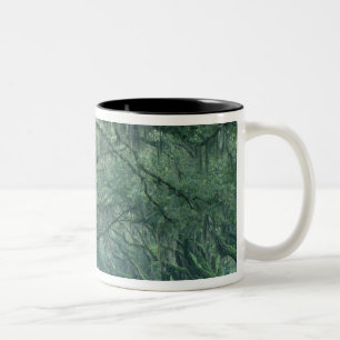 Taza Bicolor Norteamérica, EE. UU., Georgia, Savannah,