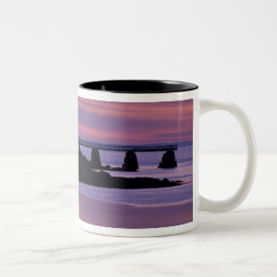 Taza Bicolor Norteamérica, EE. UU., ME, Isle Au Haut. Pato