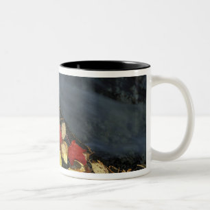 Taza Bicolor Norteamérica, EE. UU., ME, Un arroyo en otoño.