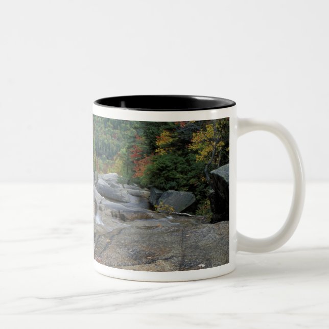 Taza Bicolor Norteamérica, EE.UU., NH, follaje otoñal en Nueva  (Derecha)