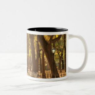 Taza Bicolor Norteamérica, EE. UU., Nueva York, Ciudad de Nueva