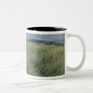 Taza Bicolor Norteamérica, EE. UU., Oregón, Canon Beach,