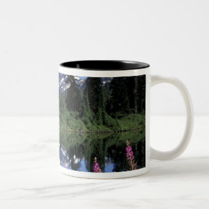 Taza Bicolor Norteamérica, EE. UU., Washington, Heather Meadows