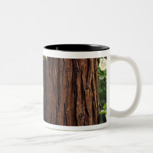 Taza Bicolor Norteamérica, Estados Unidos, California, Yosemit