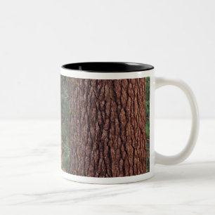 Taza Bicolor Norteamérica, Estados Unidos, California, Yosemit