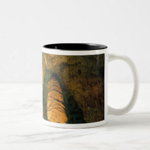 Taza Bicolor Norteamérica, Estados Unidos, Nuevo México, Carlsb