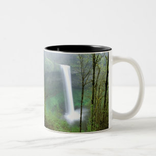 Taza Bicolor Norteamérica, Estados Unidos, Oregón, Estado de Si