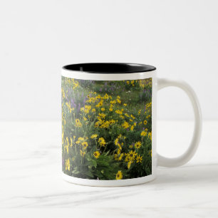 Taza Bicolor Norteamérica, Estados Unidos, Oregón, río Columbia