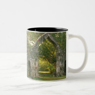 Taza Bicolor Norteamérica, México, Península de Yucatán,