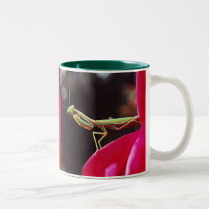 Taza Bicolor ¿Nos han presentado?