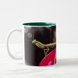 Taza Bicolor ¿Nos han presentado?