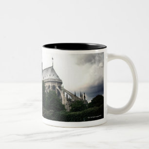 Taza Bicolor Notre Dame