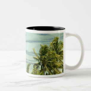 Taza Bicolor Nueva Caledonia, Isla Grande Terre, Noumea. Anse