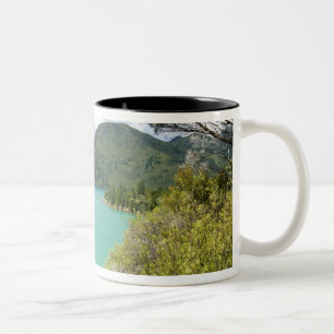 Taza Bicolor Nueva Zelanda, Isla del Sur, Marlborough Sounds.