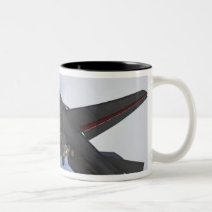 Taza Bicolor Nueva Zelanda, Otago, Wanaka, aves de guerra