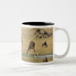 Taza Bicolor Ñus, Cebras y Jirafas