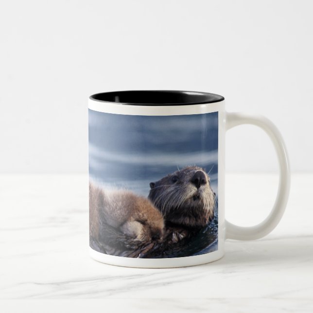 Taza Bicolor nutria marina, Enhydra lutris lutris (Derecha)