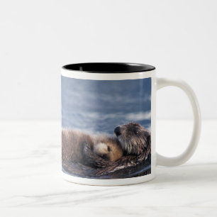 Taza Bicolor nutria marina, Enhydra lutris lutris
