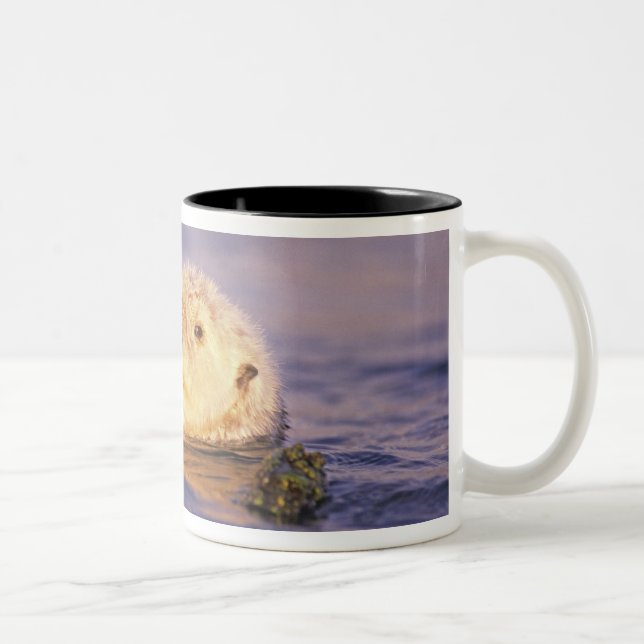 Taza Bicolor Nutrias marinas, Enhydra lutris (Derecha)