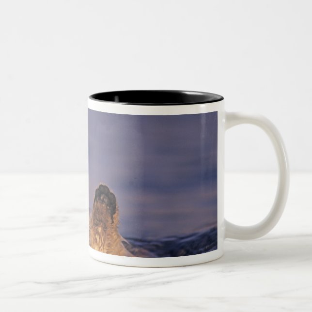 Taza Bicolor Nutrias marinas, Enhydra lutris 2 (Derecha)