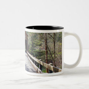 Taza Bicolor O, Condado de Jackson, Puente cubierto de McKee