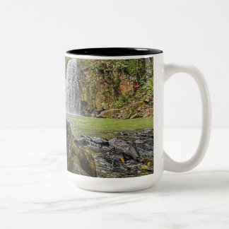 Taza Bicolor Oasis de cascada Mug - Selva verde y Estrea rocosa