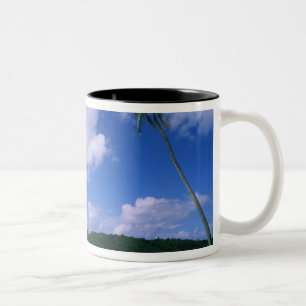 Taza Bicolor Oceanía, Polinesia Francesa, Tahití. Vista de