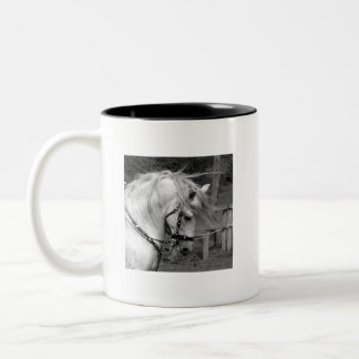 Taza Bicolor Oda al caballo