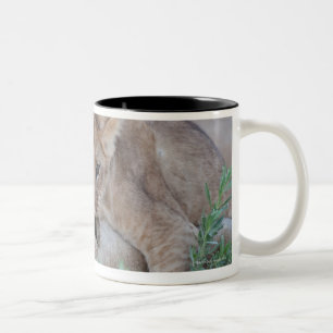 Taza Bicolor Oído penetrante de las madres del cachorro del