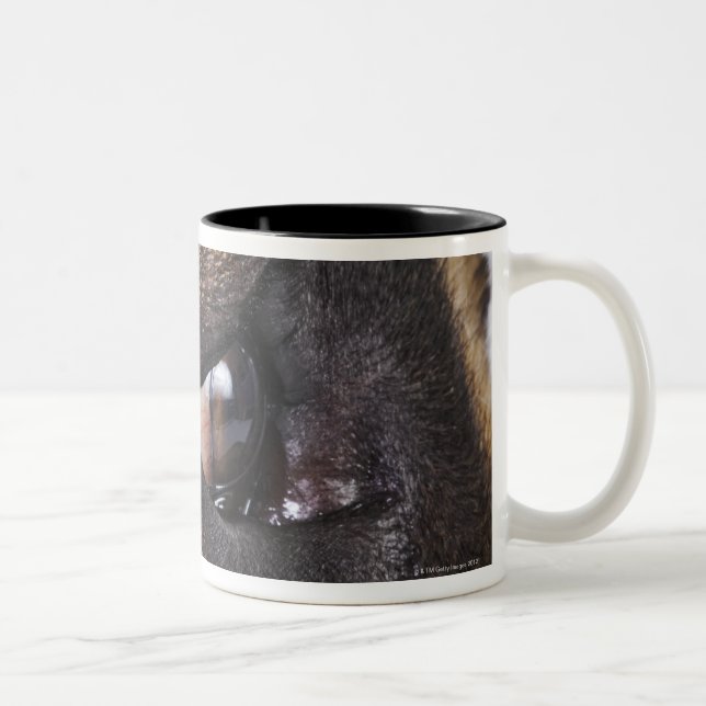 Taza Bicolor Ojo de great dane (Derecha)