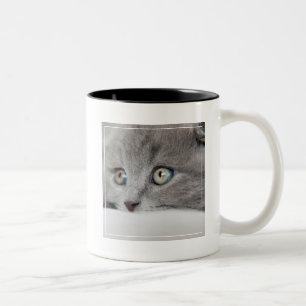 Taza Bicolor Ojos de gato