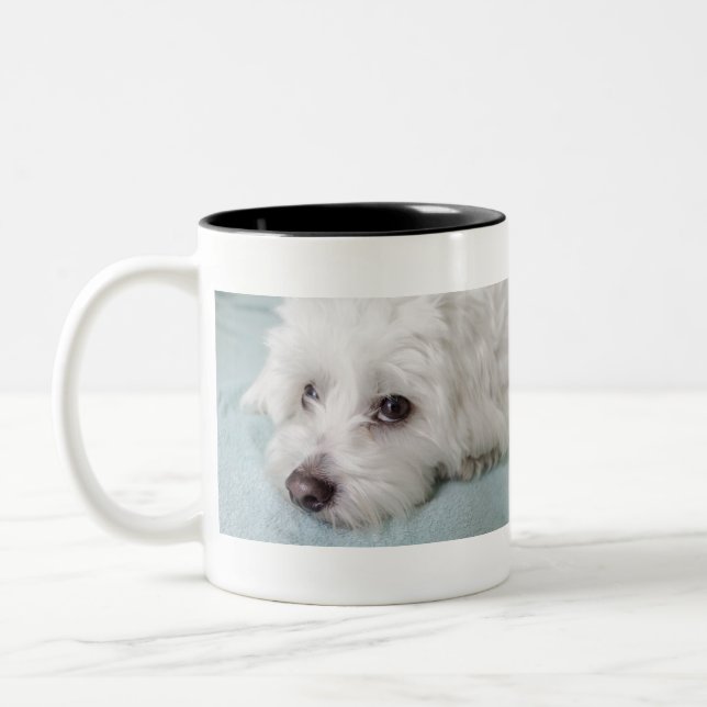 Taza Bicolor Ojos de Tulear Puppy del algodón (Izquierda)