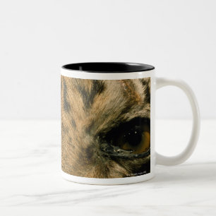 Taza Bicolor Ojos del tigre