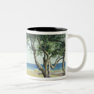 Taza Bicolor Olivos viejos, Bordighera