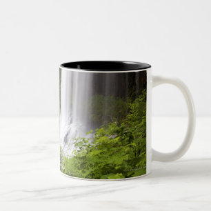 Taza Bicolor Opinión borrosa de la cascada y del bosque en