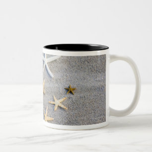 Taza Bicolor Opinión de alto ángulo una estrella de mar en la