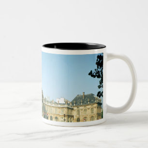 Taza Bicolor Opinión el Instituto de Francia del Quai