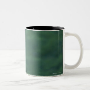 Taza Bicolor Opinión un león (Panthera leo) que pone en
