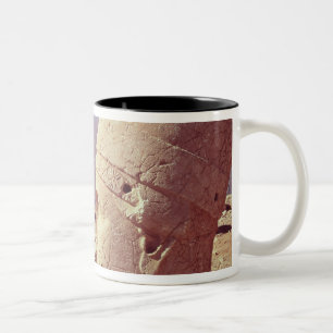 Taza Bicolor Opinión una cabeza colosal y un águila