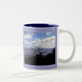 Taza Bicolor Opiniones de Maui