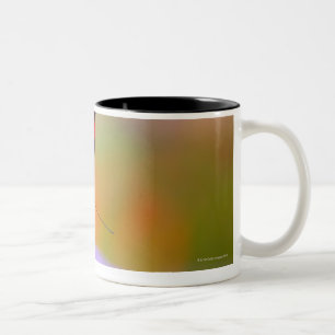Taza Bicolor Oregon, los E.E.U.U. 2
