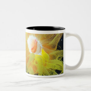 Taza Bicolor Organismo subacuático