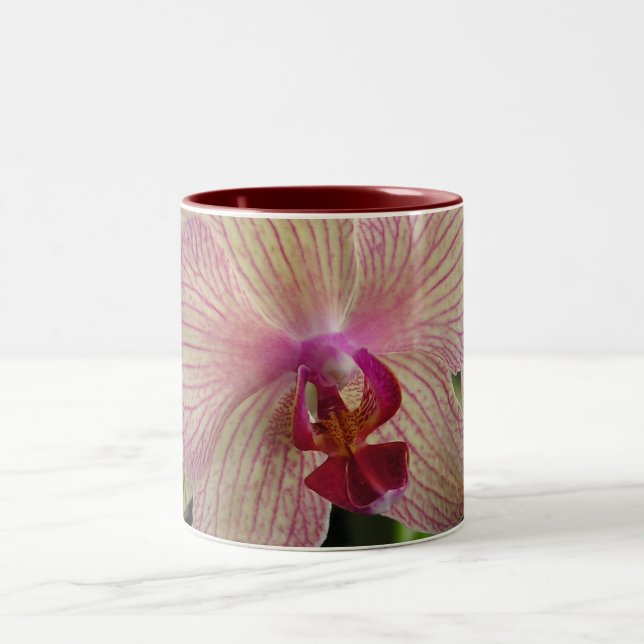 Taza Bicolor Orquídea (Centro)
