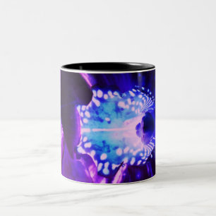 Taza Bicolor Orquídea 16