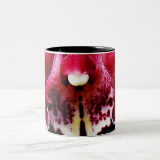 Taza Bicolor Orquídea 19