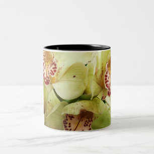Taza Bicolor Orquídea 23